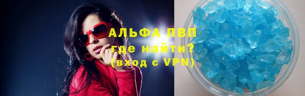 прущие грибы Бугульма