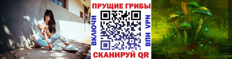 MEGA вход  Верхняя Тура  Псилоцибиновые грибы GOLDEN TEACHER  наркота 